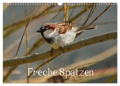 Freche Spatzen (Wandkalender 2025 DIN A3 quer), CALVENDO Monatskalender