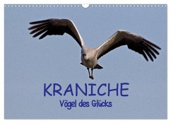 Kraniche - Vögel des Glücks (Wandkalender 2025 DIN A3 quer), CALVENDO Monatskalender - Calvendo;Weise, Ralf