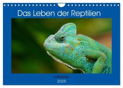 Das Leben der Reptilien (Wandkalender 2025 DIN A4 quer), CALVENDO Monatskalender - Calvendo;Kattobello