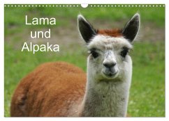 Lama und Alpaka (Wandkalender 2025 DIN A3 quer), CALVENDO Monatskalender