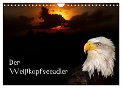 Der Weißkopfseeadler (Wandkalender 2025 DIN A4 quer), CALVENDO Monatskalender