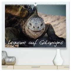 Leguane auf Galapagos (hochwertiger Premium Wandkalender 2025 DIN A2 quer), Kunstdruck in Hochglanz - Binder, Ralph