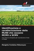 Identificazione e caratterizzazione delle MLND che causano MCMV e SCMV