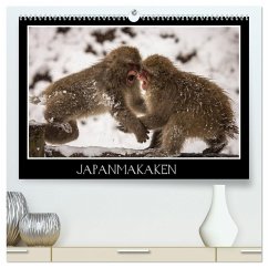 Japanmakaken (hochwertiger Premium Wandkalender 2025 DIN A2 quer), Kunstdruck in Hochglanz