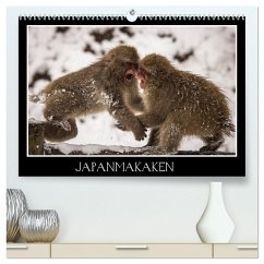 Japanmakaken (hochwertiger Premium Wandkalender 2025 DIN A2 quer), Kunstdruck in Hochglanz - Calvendo;Schwarz Fotografie, Thomas