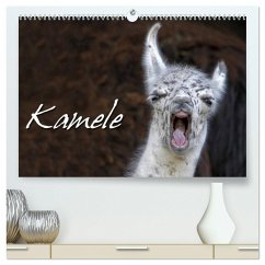 Kamele (hochwertiger Premium Wandkalender 2025 DIN A2 quer), Kunstdruck in Hochglanz