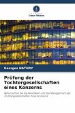 Prüfung der Tochtergesellschaften eines Konzerns