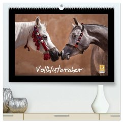 Vollblutaraber (hochwertiger Premium Wandkalender 2025 DIN A2 quer), Kunstdruck in Hochglanz