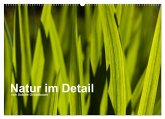 Natur im Detail (Wandkalender 2025 DIN A2 quer), CALVENDO Monatskalender Natur im Detail (Wandkalender 2025 DIN A2 quer), CALVENDO Monatskalender
