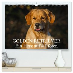 Golden Retriever - Ein Herz auf 4 Pfoten (hochwertiger Premium Wandkalender 2025 DIN A2 quer), Kunstdruck in Hochglanz