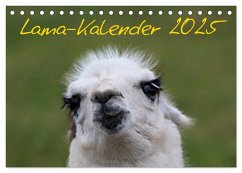 Lama-Kalender 2025 (Tischkalender 2025 DIN A5 quer), CALVENDO Monatskalender