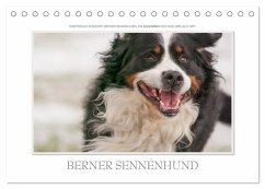 Emotionale Momente: Berner Sennenhund. (Tischkalender 2025 DIN A5 quer), CALVENDO Monatskalender - Calvendo;Gerlach GDT, Ingo