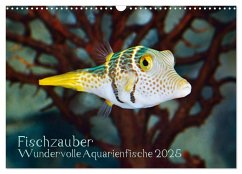 Fischzauber - Wundervolle Aquarienfische (Wandkalender 2025 DIN A3 quer), CALVENDO Monatskalender