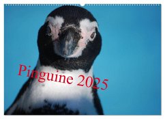 Pinguine 2025 (Wandkalender 2025 DIN A2 quer), CALVENDO Monatskalender - Calvendo;Groos, Ilka