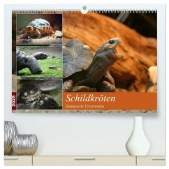 Schildkröten - Gepanzerte Urzeitwesen (hochwertiger Premium Wandkalender 2025 DIN A2 quer), Kunstdruck in Hochglanz - Calvendo;Mielewczyk, Barbara