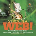 Stuck in a Web! Food Webs vs Food Chains   Consumers, Producers and Decomposers   Grade 6-8 Life Science