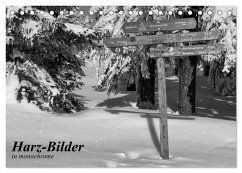 Harz-Bilder in monochrome (Tischkalender 2025 DIN A5 quer), CALVENDO Monatskalender