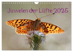 Juwelen der Lüfte 2025 (Wandkalender 2025 DIN A4 quer), CALVENDO Monatskalender - Calvendo;Witkowski, Bernd