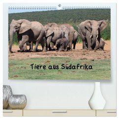 Tiere aus Südafrika (hochwertiger Premium Wandkalender 2025 DIN A2 quer), Kunstdruck in Hochglanz - Calvendo;Brüchle, W.