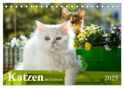 Katzen im Grünen (Tischkalender 2025 DIN A5 quer), CALVENDO Monatskalender - Dzierzawa, Judith