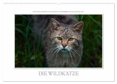 Emotionale Momente: Die Wildkatze. (Wandkalender 2025 DIN A2 quer), CALVENDO Monatskalender