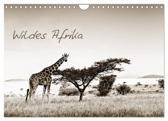 Wildes Afrika (Wandkalender 2025 DIN A4 quer), CALVENDO Monatskalender - Calvendo;Tiedge - Wanyamacollection, Klaus