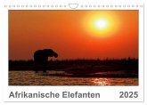 Afrikanische Elefanten (Wandkalender 2025 DIN A4 quer), CALVENDO Monatskalender