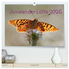 Juwelen der Lüfte 2025 (hochwertiger Premium Wandkalender 2025 DIN A2 quer), Kunstdruck in Hochglanz - Calvendo;Witkowski, Bernd