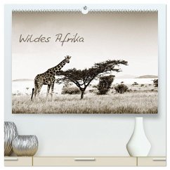 Wildes Afrika (hochwertiger Premium Wandkalender 2025 DIN A2 quer), Kunstdruck in Hochglanz