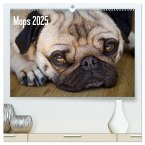 Mops 2025 (hochwertiger Premium Wandkalender 2025 DIN A2 quer), Kunstdruck in Hochglanz