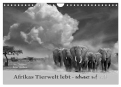 Afrikas Tierwelt lebt - schwarz auf weiß (Wandkalender 2025 DIN A4 quer), CALVENDO Monatskalender