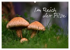 Im Reich der Pilze (Wandkalender 2025 DIN A2 quer), CALVENDO Monatskalender - Calvendo