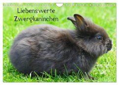 Liebenswerte Zwergkaninchen (Wandkalender 2025 DIN A4 quer), CALVENDO Monatskalender