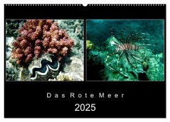 Das Rote Meer ¿ 2025 (Wandkalender 2025 DIN A2 quer), CALVENDO Monatskalender - Mirko Weigt, Hamburg