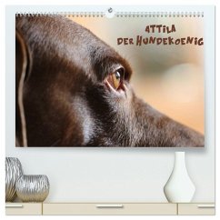 Attila, Der Hundekönig (hochwertiger Premium Wandkalender 2025 DIN A2 quer), Kunstdruck in Hochglanz - Calvendo;Hultsch, Heike