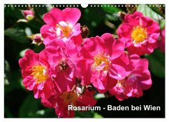 Baden bei Wien - Rosarium (Wandkalender 2025 DIN A3 quer), CALVENDO Monatskalender