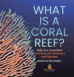 What is a Coral Reef? Role of a Coral Reef   Functions of Cnidarians and Sponges   Grade 6-8 Life Science