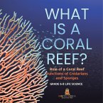 What is a Coral Reef? Role of a Coral Reef   Functions of Cnidarians and Sponges   Grade 6-8 Life Science