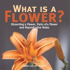 What is a Flower? Dissecting a Flower, Parts of a Flower and Reproductive Roles   Grade 6-8 Life Science