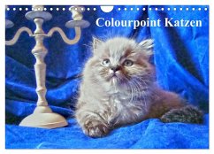 Colourpoint Katzen (Wandkalender 2025 DIN A4 quer), CALVENDO Monatskalender - Säume, Sylvia