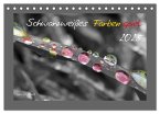 Schwarzweißes Farbenspiel 2025 / AT Version (Tischkalender 2025 DIN A5 quer), CALVENDO Monatskalender