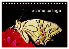 Schmetterlinge (Tischkalender 2025 DIN A5 quer), CALVENDO Monatskalender