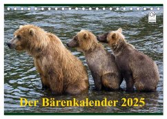 Der Bärenkalender 2025 (Tischkalender 2025 DIN A5 quer), CALVENDO Monatskalender - Steinwald, Max