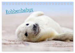 Robbenbabys (Tischkalender 2025 DIN A5 quer), CALVENDO Monatskalender - Sturm, Jenny