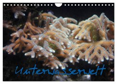 Unterwasserwelt (Wandkalender 2025 DIN A4 quer), CALVENDO Monatskalender - Calvendo;Wandt, Stefanie