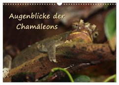 Augenblicke der Chamäleons (Wandkalender 2025 DIN A3 quer), CALVENDO Monatskalender