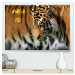 Wildlife II / 2025 (hochwertiger Premium Wandkalender 2025 DIN A2 quer), Kunstdruck in Hochglanz