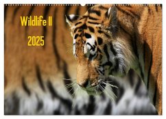 Wildlife II / 2025 (Wandkalender 2025 DIN A2 quer), CALVENDO Monatskalender