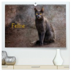 Feline (hochwertiger Premium Wandkalender 2025 DIN A2 quer), Kunstdruck in Hochglanz - Calvendo;Möckel / Lucy L!u, Claudia