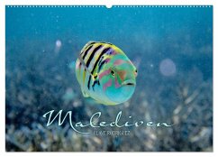 Unterwasserwelt der Malediven II (Wandkalender 2025 DIN A2 quer), CALVENDO Monatskalender - Rodriguez Photography, Clave